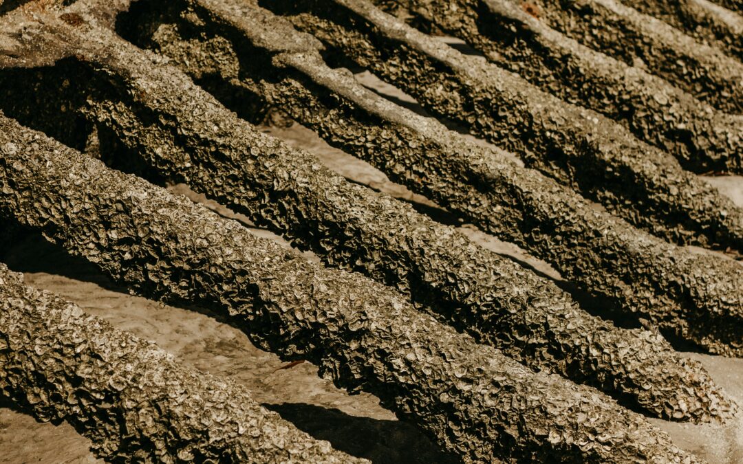 Indagini preliminari e scavo: un percorso di conoscenza integrato