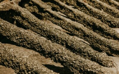 Indagini preliminari e scavo: un percorso di conoscenza integrato